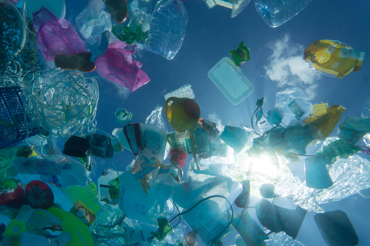 No Time to Waste – Policy and Market Shifts Needed to Address the Impending Plastic Crisis